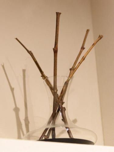 a glass vase with some branches in it at Hortus Conclusus + free parking in Siena
