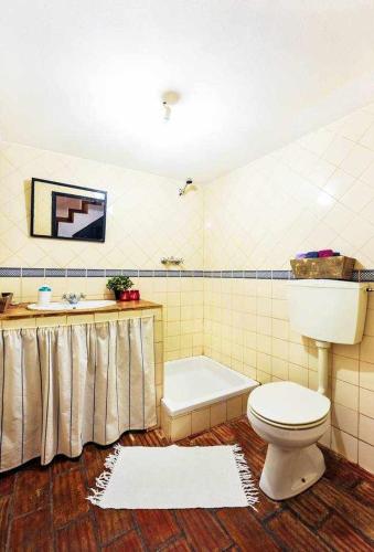 a bathroom with a toilet and a bath tub at Casa do Castelo - Zona Histórica in Mértola