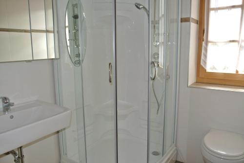 a bathroom with a shower and a toilet and a sink at Ferienwohnung Unterkofler in San Genesio Atesino
