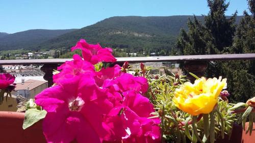 a group of pink and yellow flowers on a balcony at Hostal La Cigueña in El Espinar