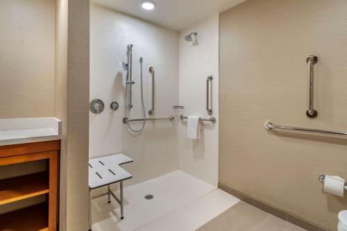 a bathroom with a shower and a sink at Comfort Suites Camp Hill-Harrisburg West in Harrisburg