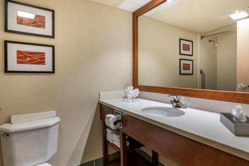 La salle de bains est pourvue d'un lavabo, de toilettes et d'un miroir. dans l'établissement Comfort Suites Miami - Kendall, à Kendall