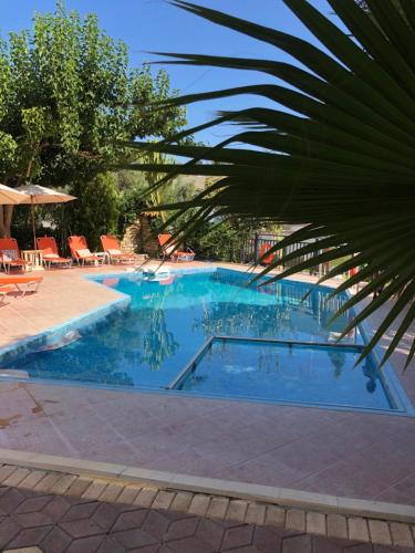 a large blue swimming pool with chairs and a palm tree at Vrisi Apartments & Villa in Pitsidia