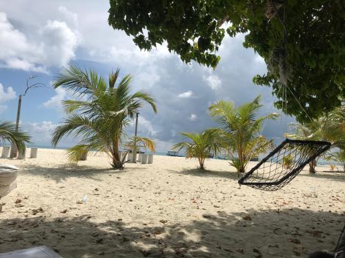 a beach with palm trees and a hammock on the sand at Malas Island View in Fulidhoo