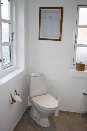 a bathroom with a toilet and a picture on the wall at Holiday-Skagen in Skagen