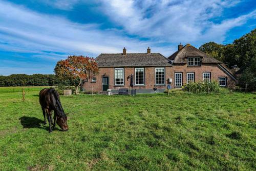 a horse grazing in a field in front of a house at Tranquility Farm in Dalfsen