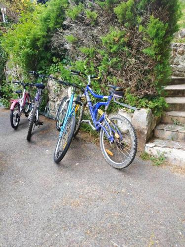 Deux vélos sont garés l'un à côté de l'autre. dans l'établissement Chalet chaleureux à Louâtre avec piscine partagée, à Louâtre