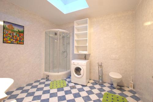 a bathroom with a shower and a washing machine at Appartement Haberl in Bruck an der Mur