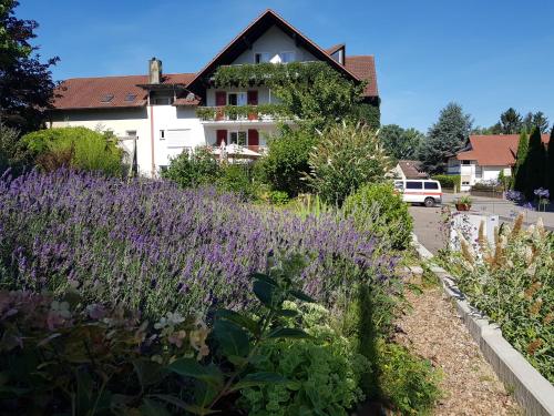 a garden with purple flowers in front of a house at Hotel KAMPS in Sinsheim