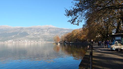 Christine's Golden Suite at Ioannina's Center