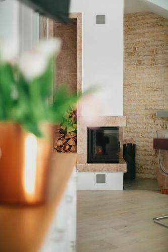a living room with a fireplace and a plant at Chalet 2B in Cavnic