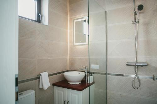 a bathroom with a sink and a glass shower at Chalet 2B in Cavnic