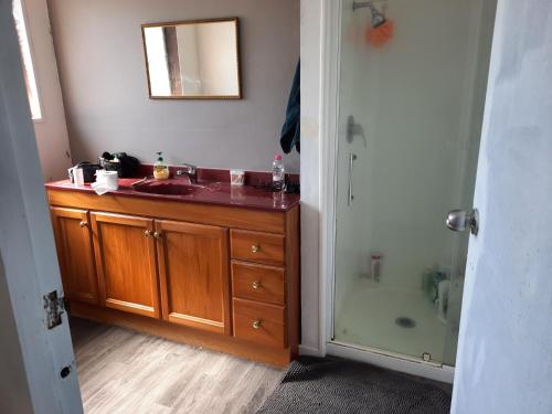 a bathroom with a sink and a shower at Papamoa Budget Accommodation in Papamoa