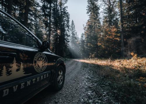 a car parked on a dirt road in the woods at Apartmani ZELENI MEDA in Mitrovac
