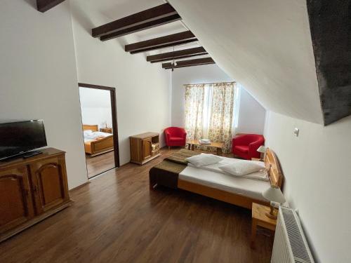 a bedroom with a bed and a television in a room at Vila Alisa in Bran