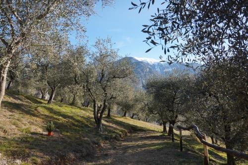 Gallery image of Chalet Laghel - Holiday Home Garda Trentino in Arco