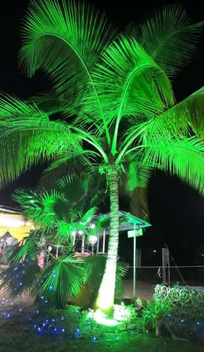 Taman di luar Hotel Nisarg Lodging And Restaurant