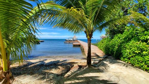 a palm tree on a beach next to the water at Stunning Turquoise Views From This 2 Bedroom, 2 Bath Home,,, in French Harbour