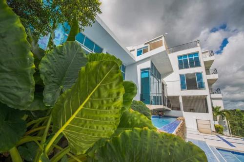 a house with a large plant in front of it at HOTEL CAMPESTRE LA MONTAÑA in Girardot