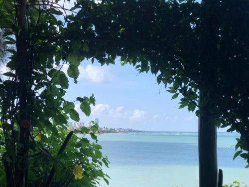 a view of the ocean from a tree at Hostería Ecológica El Faro in Salinas