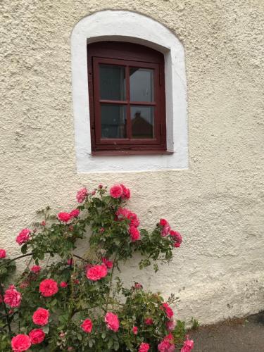 a window on a building with pink roses at Hotell Magasin 1 in Mörbylånga