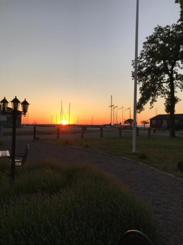 a sunset over a field with a bench and sailboats at Hotell Magasin 1 in Mörbylånga