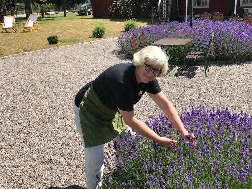 a woman standing in a field of purple flowers at Hotell Magasin 1 in Mörbylånga