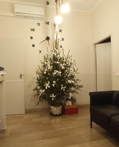 a plant in a living room with a clock on the wall at Ad Astra Rooms in Ravenna