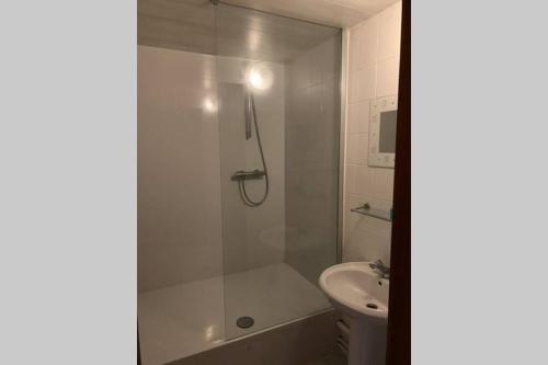 a bathroom with a shower and a toilet and a sink at Spacious old farmhouse with top-of-the valley view in Trois-Ponts