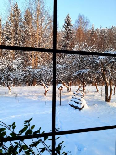 a window view of a snow covered field with trees at Na Skraju Szlaków in Sernetki