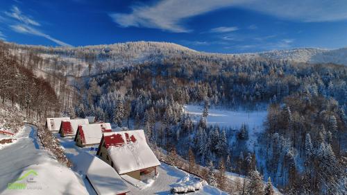 Domki Beskid