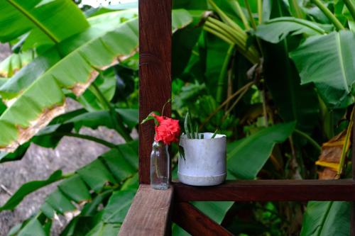 a vase with a red flower in it sitting on a wooden bench at Kachikine in Capurganá