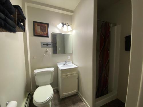 a bathroom with a toilet and a sink and a mirror at Roundtop Mountain Vista - Cabins and Motel in Thermopolis
