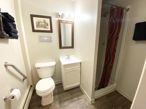 a bathroom with a toilet and a sink and a shower at Roundtop Mountain Vista - Cabins and Motel in Thermopolis