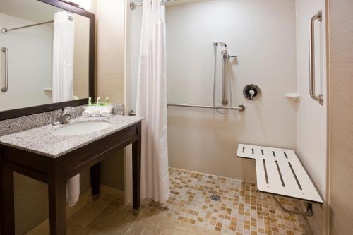 a bathroom with a sink and a shower at Holiday Inn Express & Suites Willmar, an IHG Hotel in Willmar