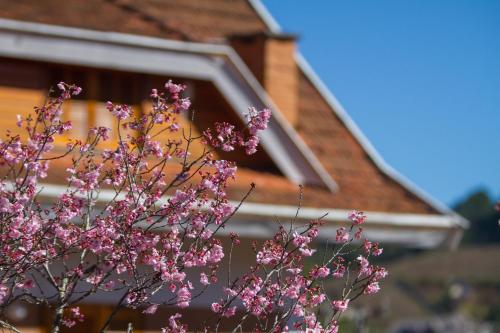 a tree with pink flowers in front of a house at Hotel Matsubara in Campos do Jordão