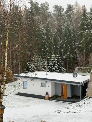 a white house in the snow with trees at Ferienhaus „Silberhaus“ in Leun