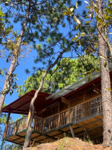 Villa Verde – Photos 5