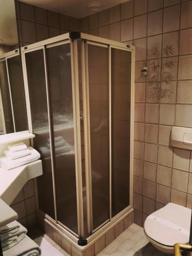 ein Badezimmer mit Dusche und Toilette in der Unterkunft Hotel Fleur-de-Lys in La Chaux-de-Fonds