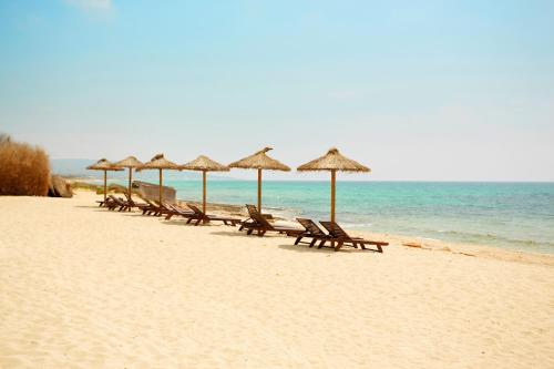 a row of benches with umbrellas on a beach at Insotel Hotel Formentera Playa in Playa Migjorn