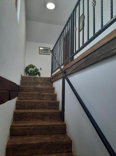 a staircase with wooden steps and a potted plant at Casa Maria in Vatra Dornei