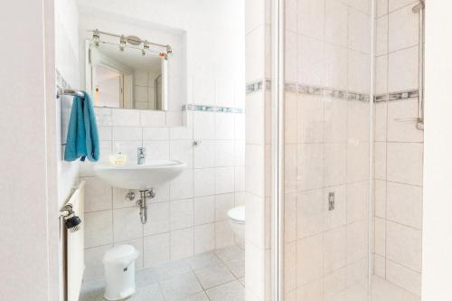 a bathroom with a shower and a sink and a toilet at Hotel- Restaurant Zum Hirsch in Großenlüder
