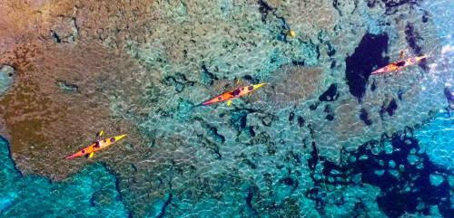 an overhead view of a group of surfboards in the water at Insotel Club Maryland in Playa Migjorn