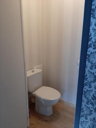 une salle de bain avec des toilettes blanches dans une chambre dans l'établissement CHARMANT APPARTEMENT CENTRE VILLE LE RONSARD, à Nogent-le-Rotrou