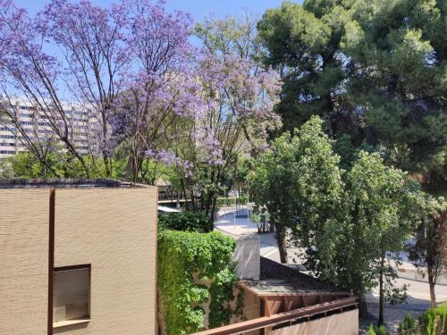 Blick auf ein Gebäude und Bäume mit lila Blumen in der Unterkunft Pasarela in Sevilla