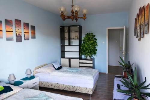 1 dormitorio con 2 camas y pared azul en Aloé Apartman Sopron, en Sopron