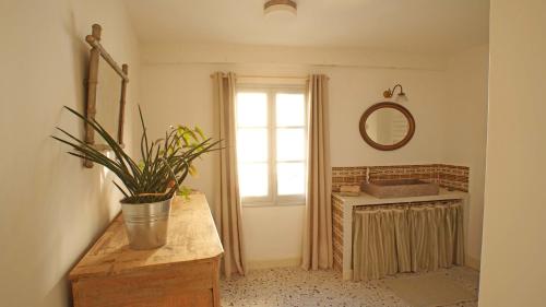 een keuken met een wastafel en een raam met een potplant bij Au coin de la Roquette in Arles