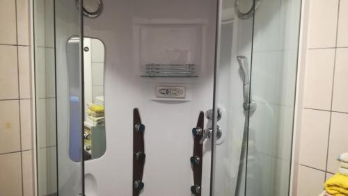 een douche met een glazen deur in een badkamer bij Apartment Leonardo in Medulin