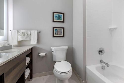 a white bathroom with a toilet and a sink at Comfort Suites Greenville Airport in Greenville