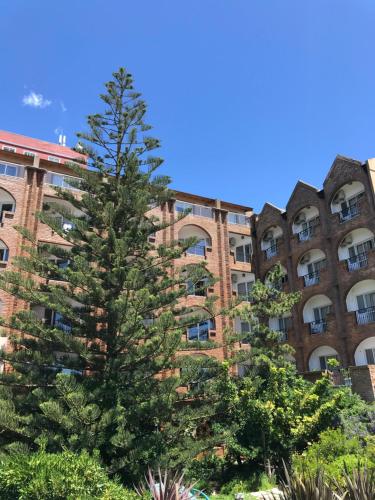 un pino alto frente a un edificio en Costanera Mar Hotel & Suites en San Clemente del Tuyú